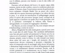Anteprima de L’acqua la terra e il cuore_page-0009