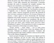 Anteprima de L’acqua la terra e il cuore_page-0014